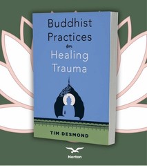 BUDDHIST PRACTICES FOR HEALING TRAUMA by Tim Desmond New Paperback 6/16/2026