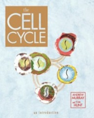 The Cell Cycle : An Introduction Paperback Andrew, Hunt, Tim Murr